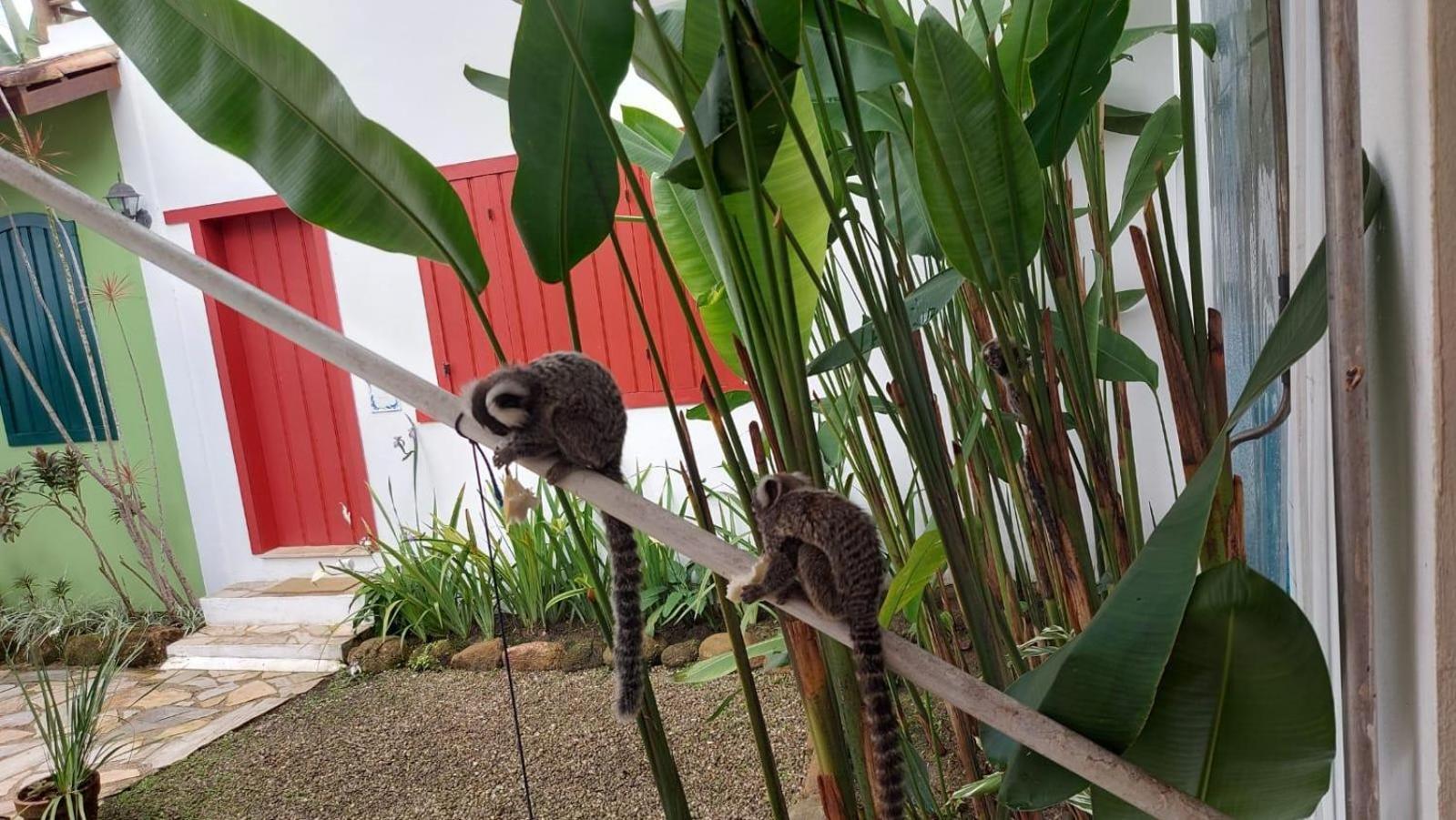 Pousada Pomar Paraty Bagian luar foto